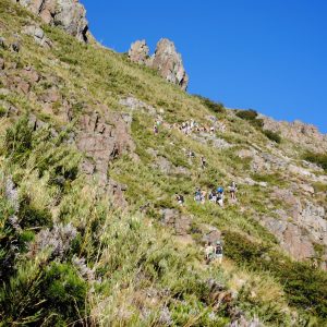 Chile Educational Student Tour 31