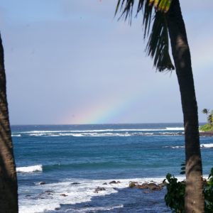 Hawaii Student Tours 11