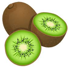 KiwiFruit.NewZealand.Evolve.Travel.Tourism.Educational.NZ.Australasia..png