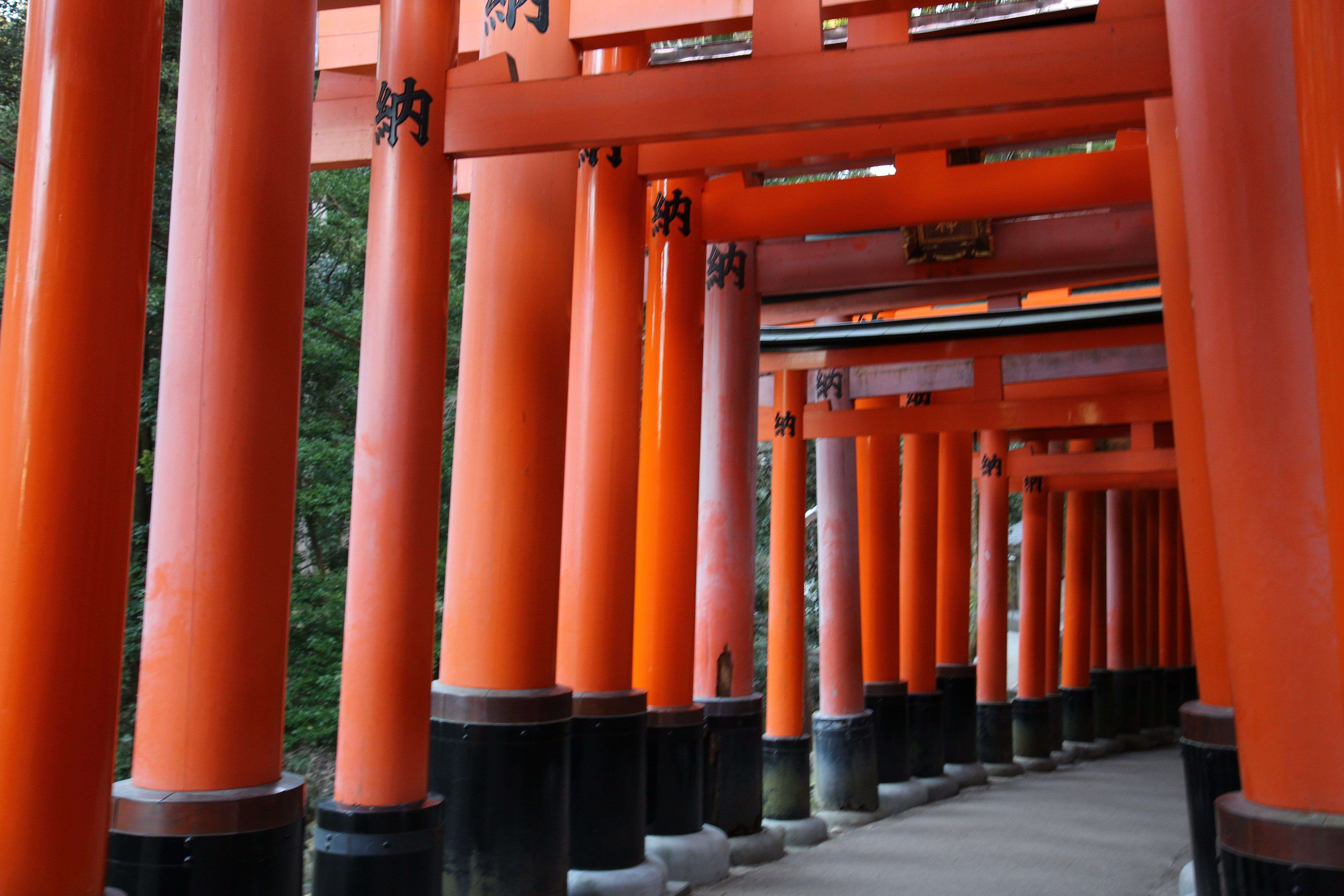 Japan school trips to shrine in kyoto