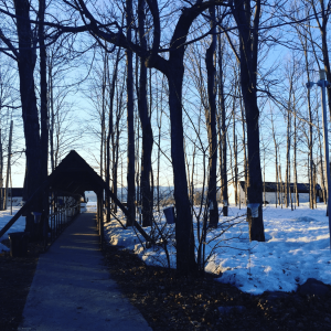 Quebec City Sugar Shack