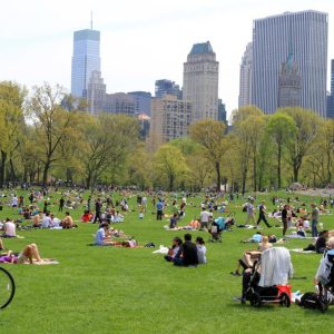 Big Central Park New York City