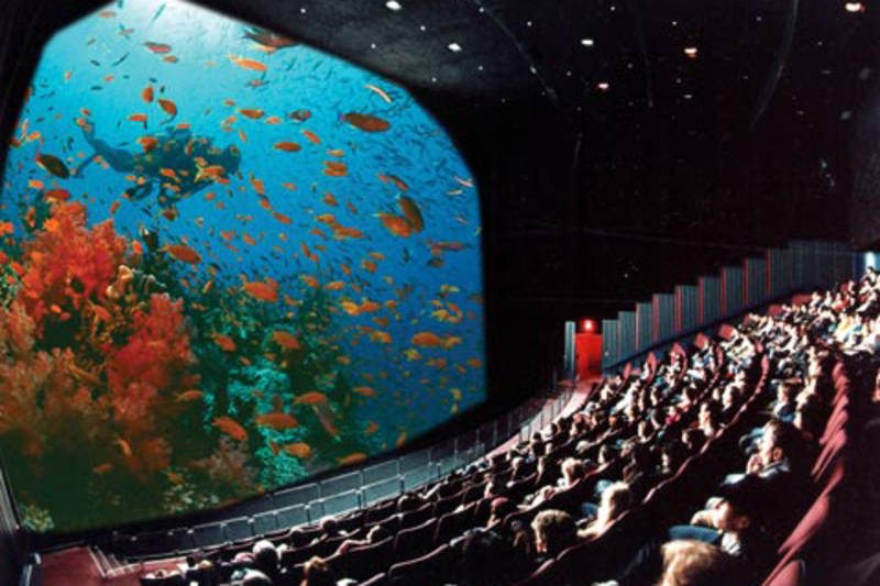 Enjoying a live show inside the Montreal Science Center