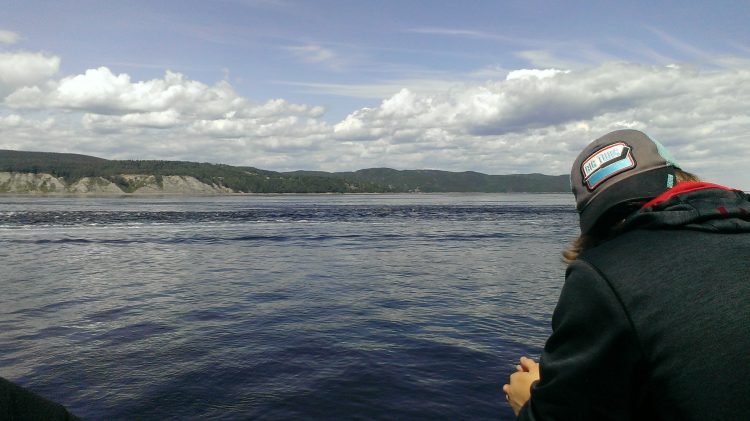 There She Blows: Cruising the St. Lawrence for Whales