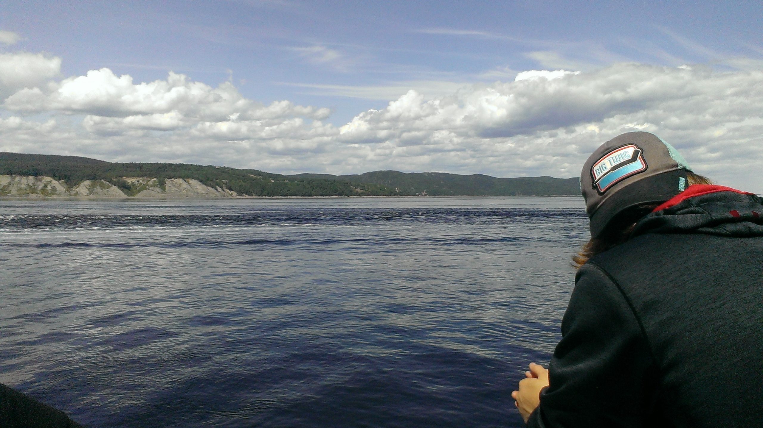 Evolve Tours | Educational Tours & Trips, Easy Booking and Tour PlanningEvolve Tours | Educational Tours & Trips, Easy Booking and Tour Planning » There She Blows: Cruising the St. Lawrence for Whales