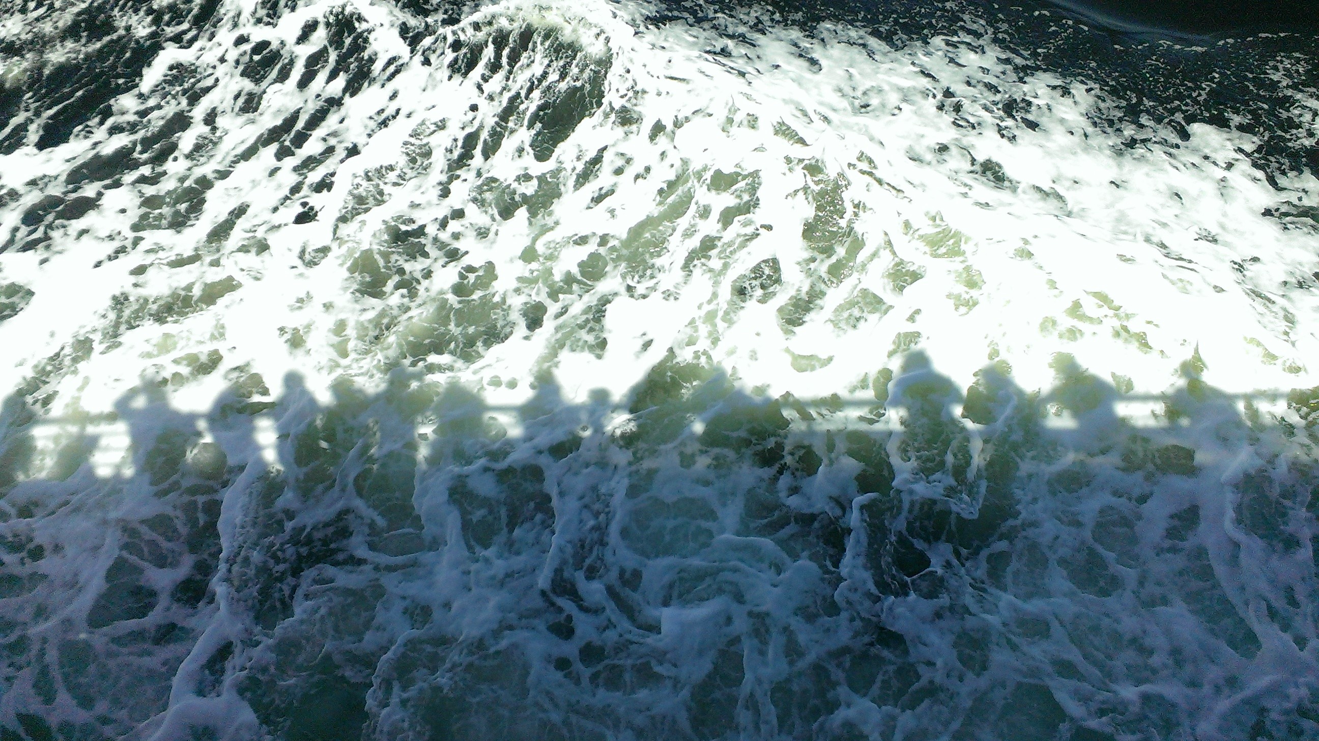 quebec-whale-watching-2