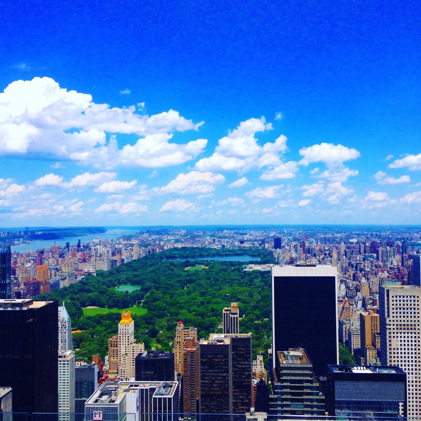View of Central Park in the midst of New York City