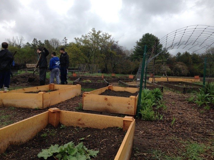 The farm teaches the connections between people, the land and the food we eat