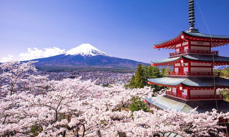 Top 10 Reasons to Plan Your School Trip to Japan