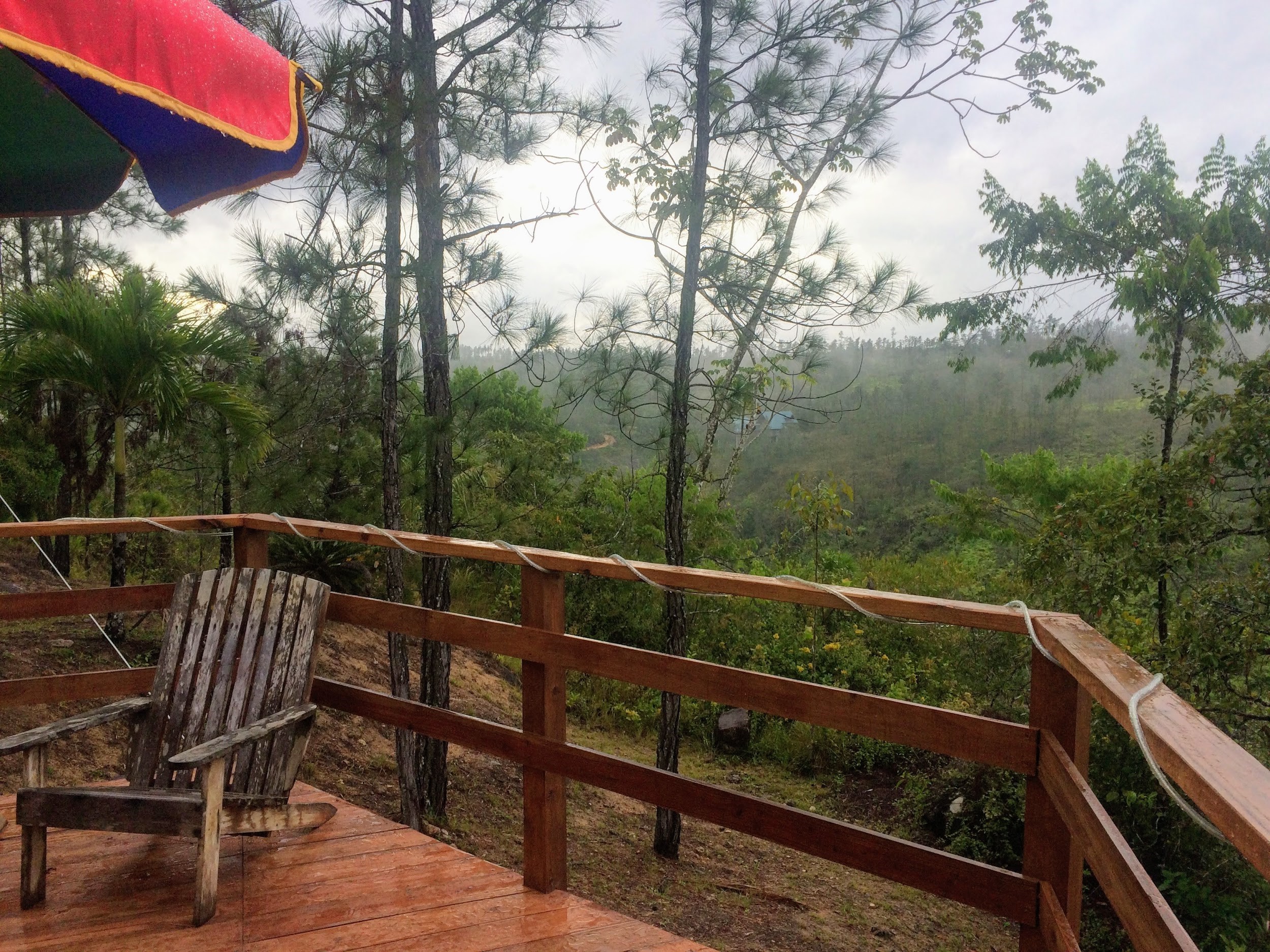 The view from our accommodation in Mountain Pine Ridge, prime territory for viewing parrots.