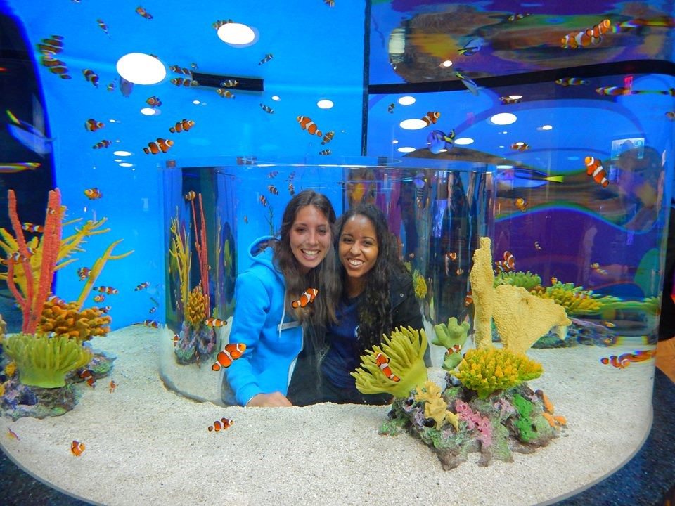 Ripley's Aquarium Toronto