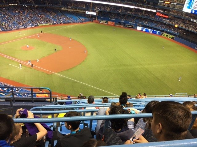 Enjoying a Blue Jays game in Toronto