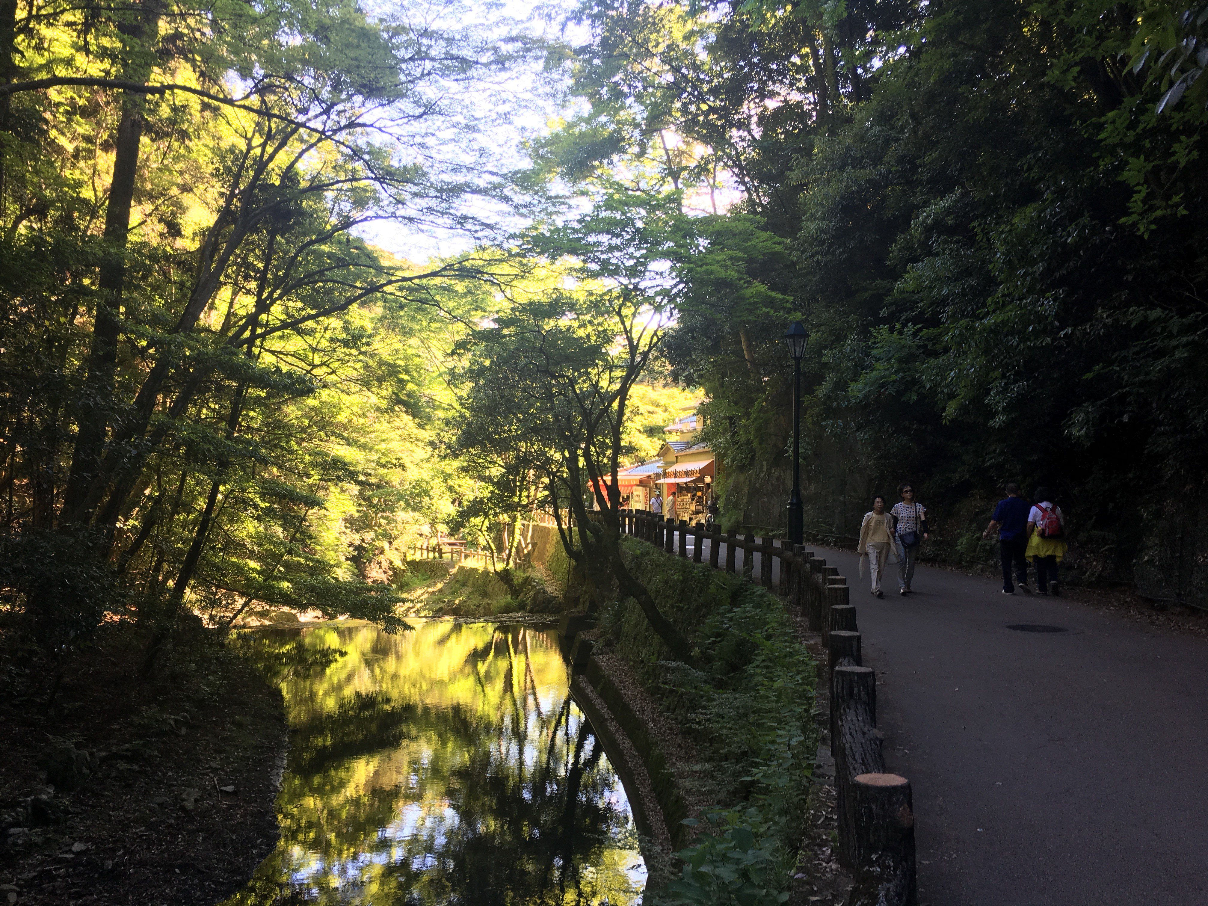 Japan with Evolve Tours Take a stroll Down Minoo Park. Osaka, Japan