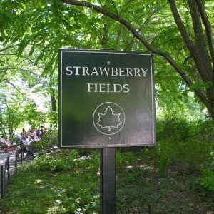 Strawberry Fields New York