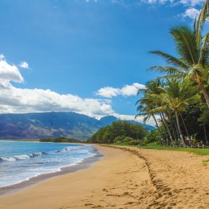 Hawaii Beach