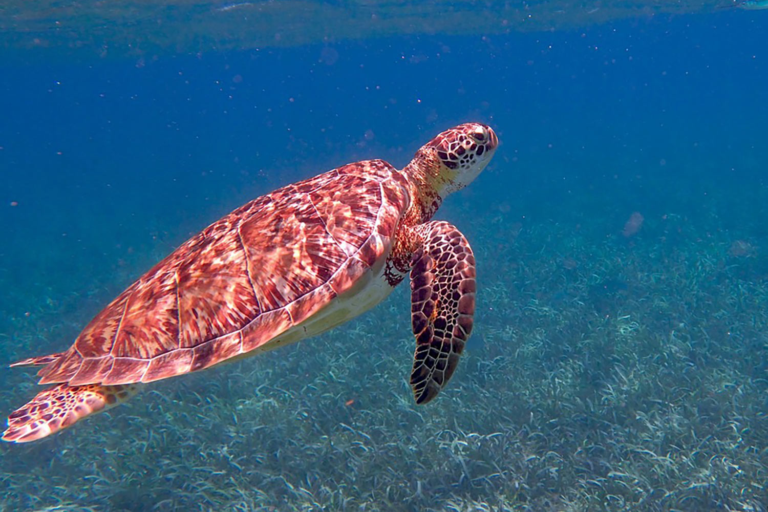 Evolve Tours | Educational Tours & Trips, Easy Booking and Tour PlanningEvolve Tours | Educational Tours & Trips, Easy Booking and Tour Planning » Terms & Conditions »