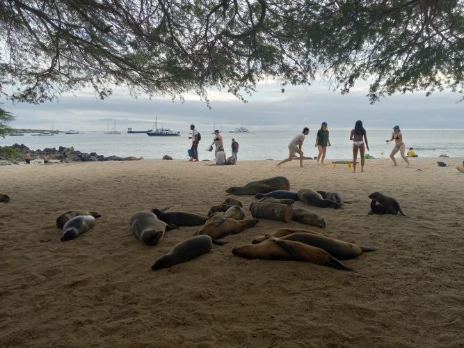 Awakening from black & white to a world of watercolors