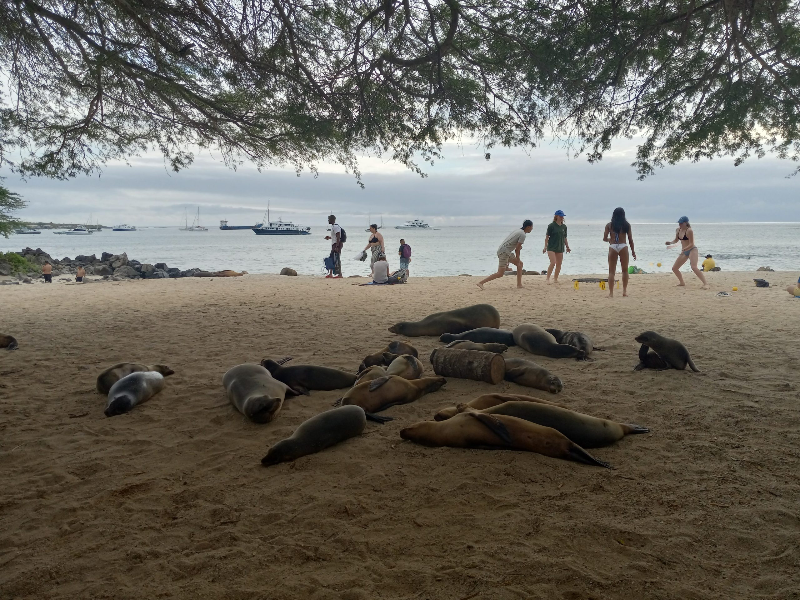 Evolve Tours | Educational Tours & Trips, Easy Booking and Tour PlanningEvolve Tours | Educational Tours & Trips, Easy Booking and Tour Planning » Awakening from black & white to a world of watercolors