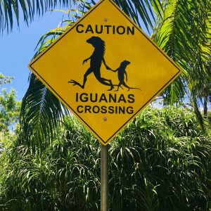 Evolvetours Destinations Belize 19