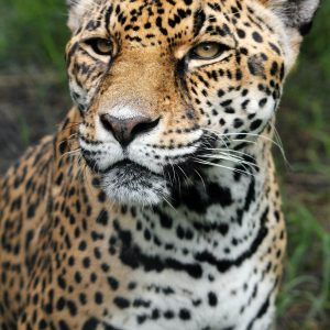 Evolvetours Destinations Costarica 14