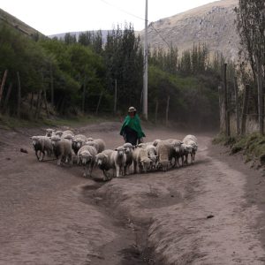 Evolvetours Trips Ecuador Selects 2