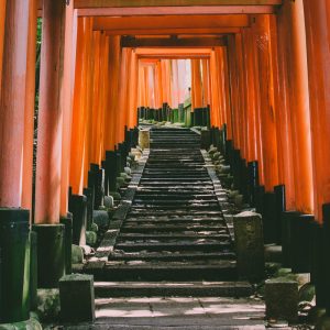 Evolvetours Destinations Japan 14