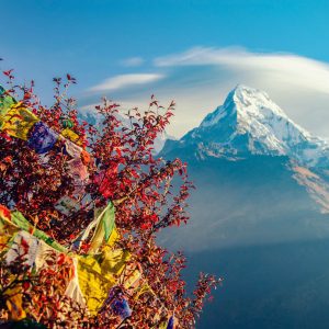 Evolvetours Destinations Nepal 19