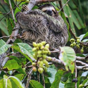 Evolvetours Destinations Panama 1