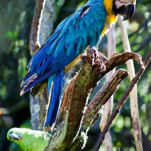 Evolvetours Destinations Peru 14