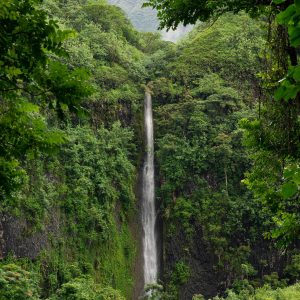 Evolvetours Destinations Tahiti 12