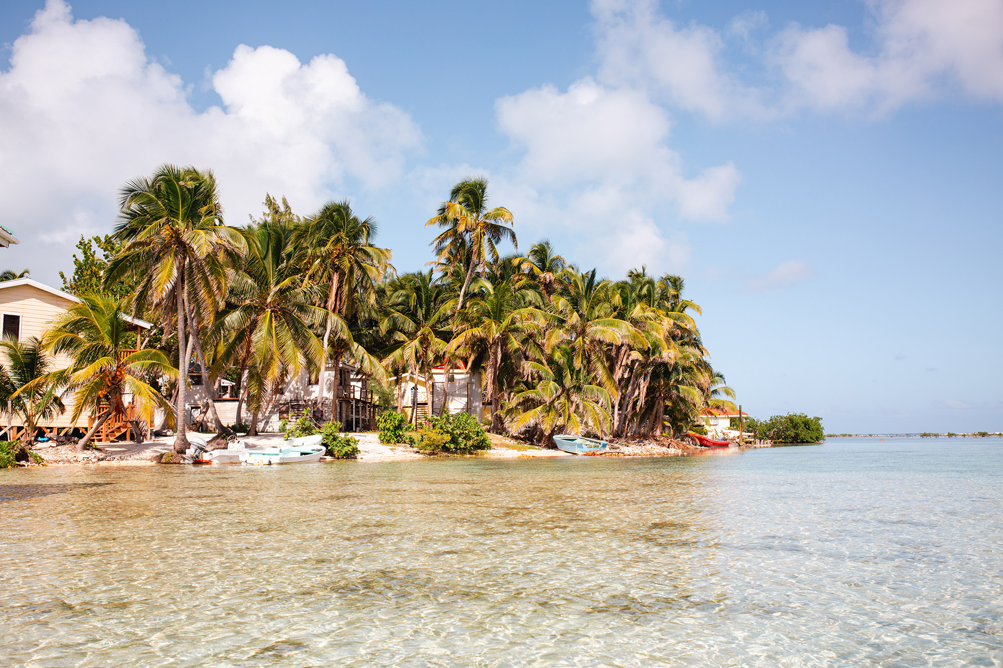 Evolve Tours | Educational Tours & Trips, Easy Booking and Tour PlanningBest Educational Travel Company for Student Trips & Tours