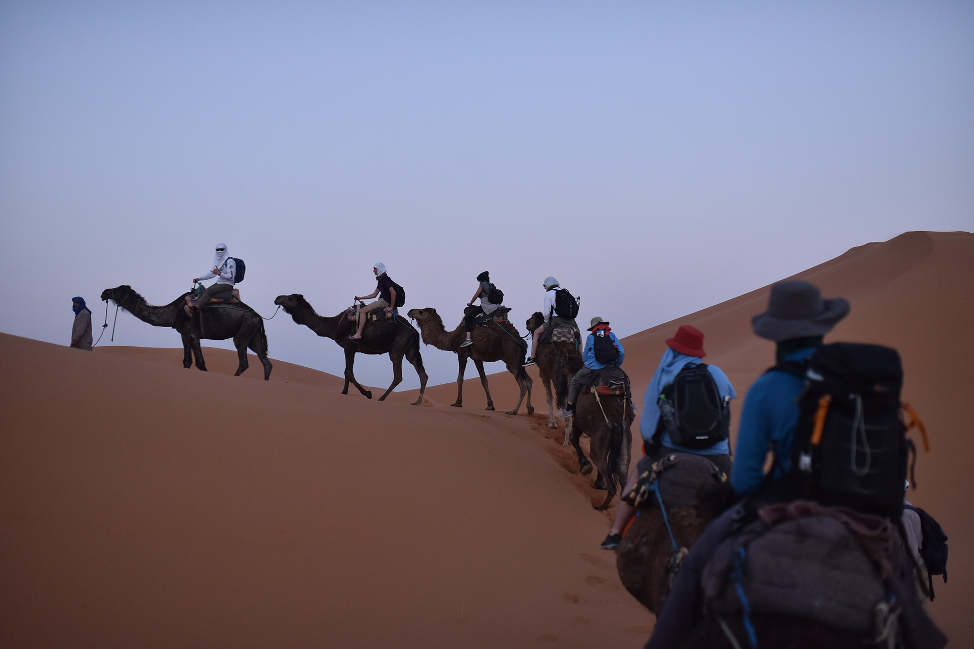 Evolve Tours | Educational Tours & Trips, Easy Booking and Tour PlanningEvolve Tours | Educational Tours & Trips, Easy Booking and Tour Planning » The Evolve Proven Process »