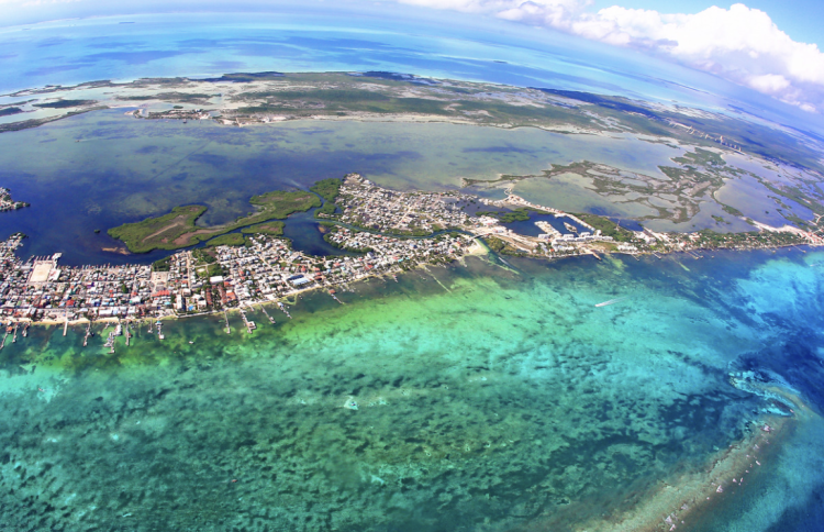 Reef Recovery Project in Belize with Our Partners