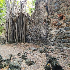 Martinique Photo 2023 03 10 11 58 21