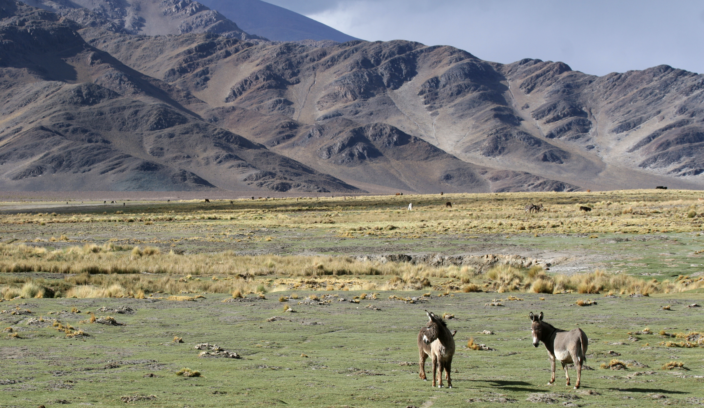 Evolve Tours | Educational Tours & Trips, Easy Booking and Tour PlanningEvolve Tours | Educational Tours & Trips, Easy Booking and Tour Planning » Argentina Student Travel On The Rise