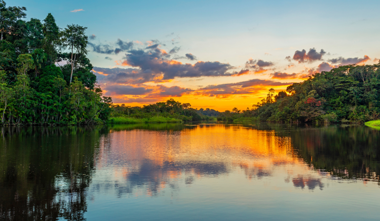 Exploring the Amazon, a River in the Sky | Evolvetours