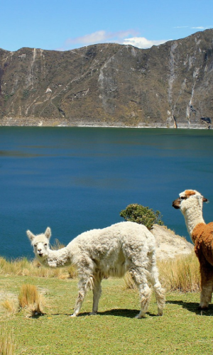 Evolve Tours Educational Travel